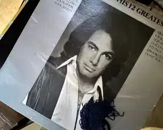 neil diamone record LP 12 greatest hits