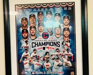 2016 American league champions.