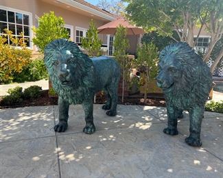 European bronze  lions.  Circa 1960s.  Each lion weighs over 300 lbs. and stands 44" tall  /  60" long.  This pair of lions were removed from an English Manor House and imported from England in the 1980's. 