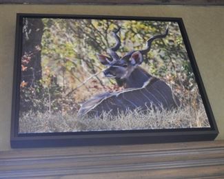 Photorealism artwork by D. Yarrow