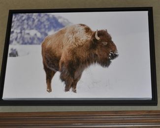 Photorealism artwork by D. Yarrow