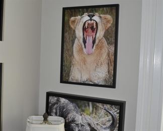 Photorealism artwork by D. Yarrow