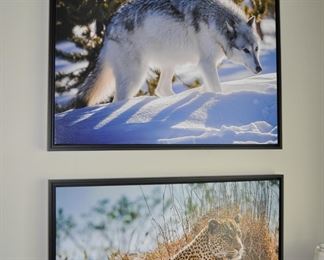 Photorealism artwork by D. Yarrow