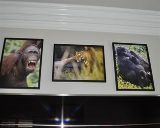 Photorealism artwork by D. Yarrow