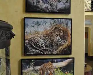 Photorealism artwork by D. Yarrow