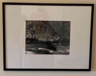 Hubbard Creek Bankhead National Forest by A. Shero