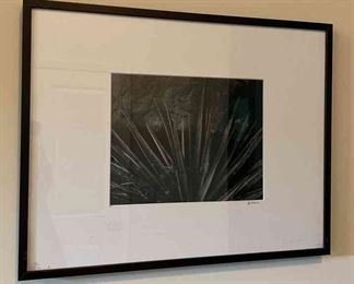 Yucca  Slickrock Utah by A. Shero