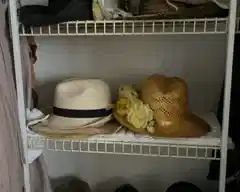 Assortment of hats