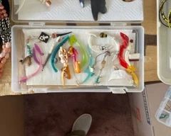 Earrings and ear plugs