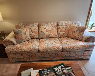 Sleeper sofa, like new