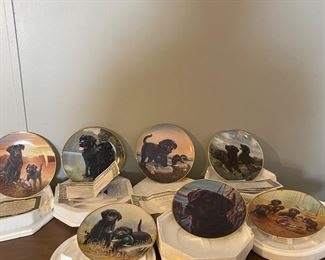 Gold trimmed Dog plates some with papers. 