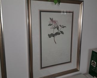 Framed Wall Art
