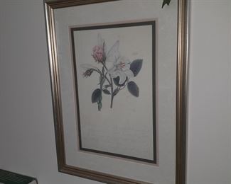 Framed Wall Art
