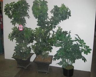 Lot - 488
lot - 3 artificial plants (65")
SKU# : 476953