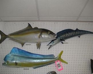 Lot - 65
lot - 3 fish mounts
SKU# : 476530