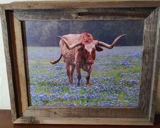 Bluebonnets Longhorn