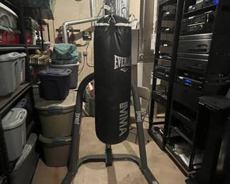 Everlast punching bag....