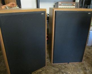 American Acoustics Labs 154 speakers 250 Watt