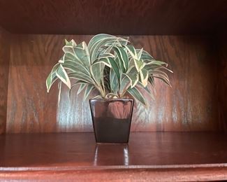 . . . faux plant (that means fake)