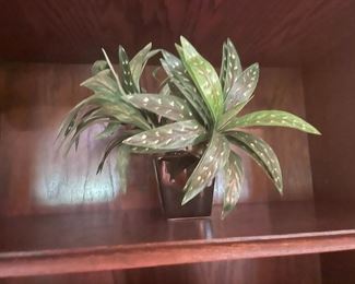 . . . faux plant