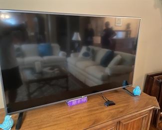 . . . flat screen TV with bird accents