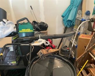 . . . another leaf blower