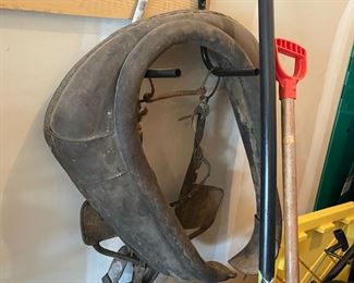 . . . old horse yoke
