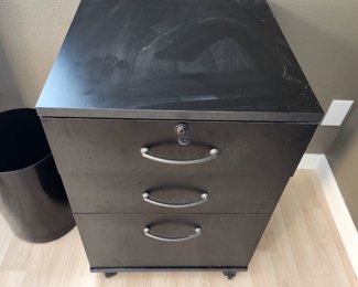 Two Lock Cabinets on Rollers - $65