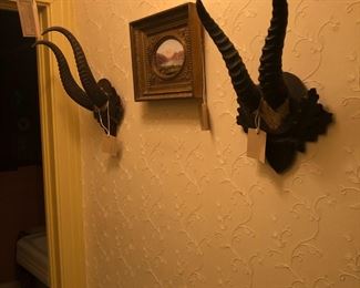 horns and old paris plaque