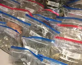 bags full of prisms, crystals chandelier parts