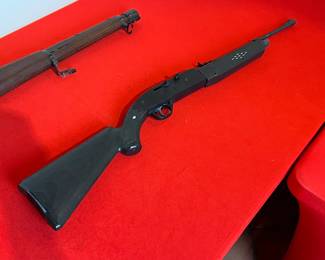 Crosman Black Diamond Air Rifle		
