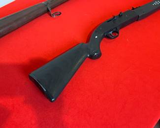 Crosman Black Diamond Air Rifle		
