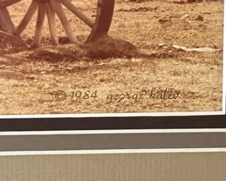 Wagon in Owens Valley Framed Photo		
