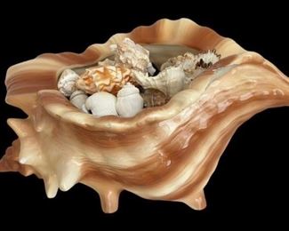 Seashell Planter
