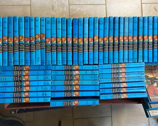 The ‘Hardy Boys Series’ of books