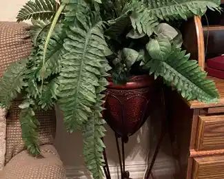 artificial fern