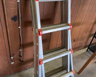 Little Giant Ladder