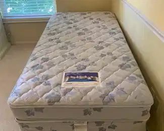 Twin mattress and box springs