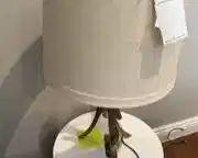 wmodern style table lamp6691 t