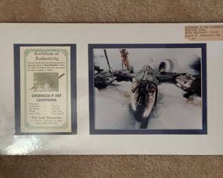 The Lost Squadron Glacier Girl Lockheed P-38F Lightning Artifact