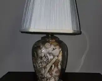 shell lamp