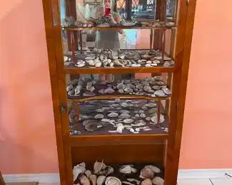 $695 - NOW $350 
Curio cabinet filled with shells 5'4""x34Wx16