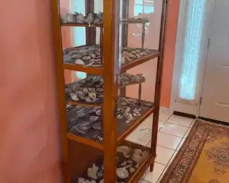 $695 	"-NOW $350 
Curio cabinet filled with shells 5'4""x34Wx16