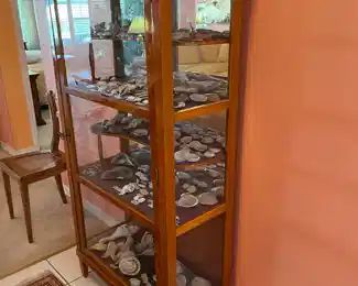 $695 	-NOW $350 
Curio cabinet filled with shells 5'4""x34Wx16