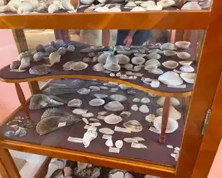 NOW $350 
Curio cabinet filled with shells 5'4""x34Wx16