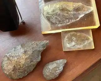 $100 	
Small fossils set of 2 - lge 5x7 & sm 3Wx4L	