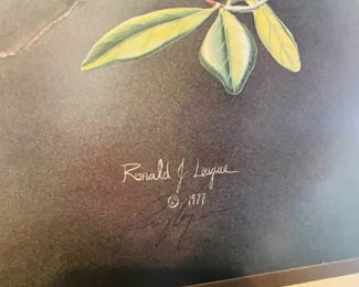 $50 	
#20 - Owl in the tree by Ronal J.Lujue 1977 print	26x32	