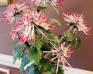 $150 	"
#27 Jade Plant with white & pink flowers 26""T"		