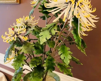 $150 	"
#28 Jade Plant with white & yellow flowers 27""T"
