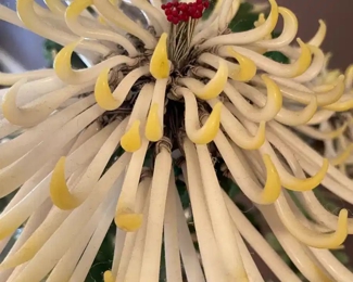 $150 	"
#28 Jade Plant with white & yellow flowers 27""T"